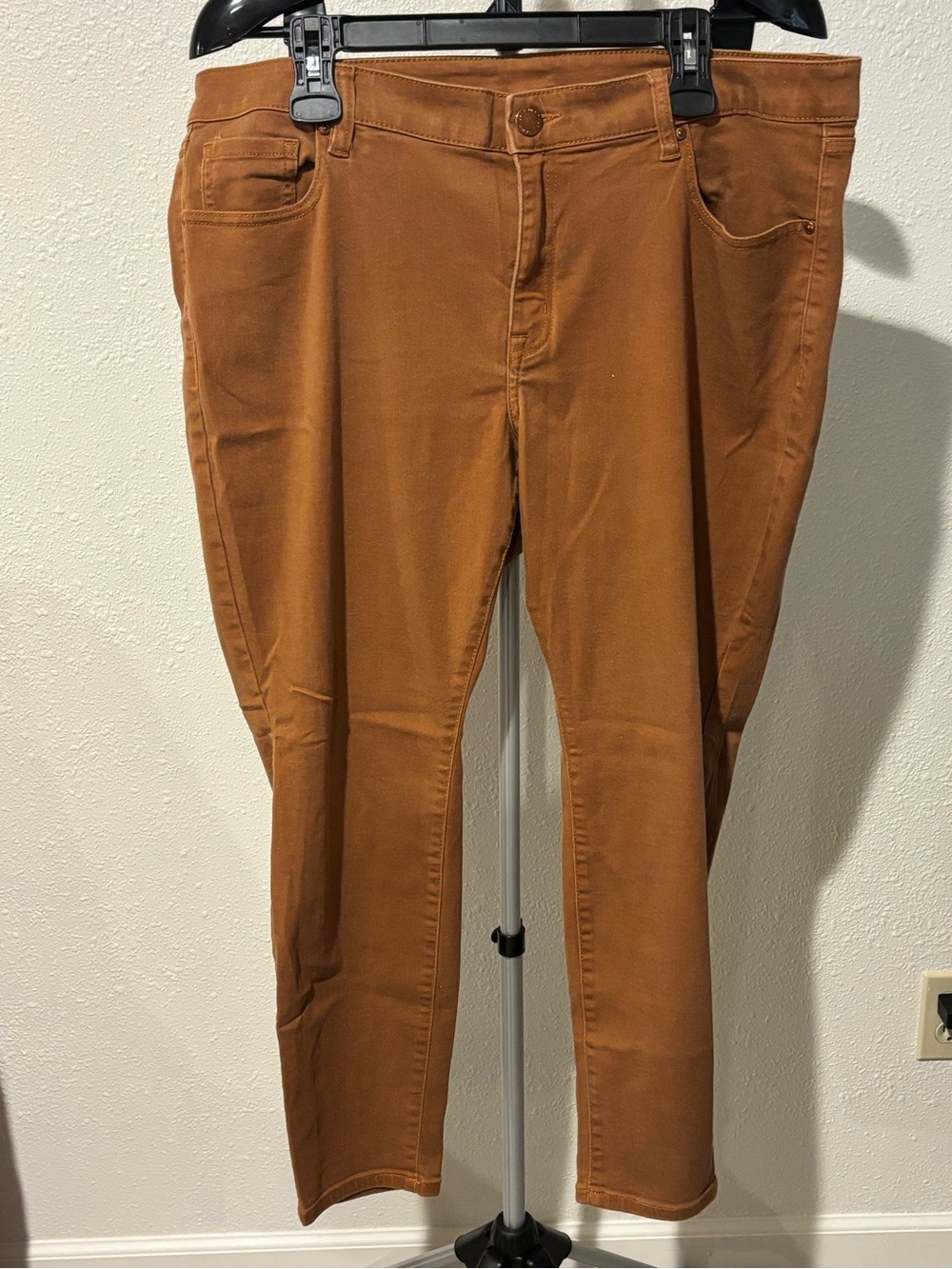 Lane Bryant Skinny Jeans in Warm Brown